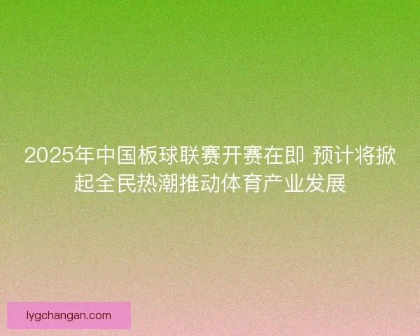 2025年中国板球联赛开赛在即 预计将掀起全民热潮推动体育产业发展