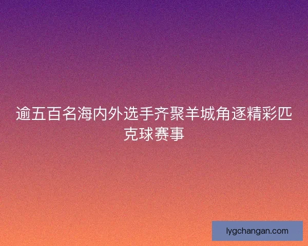 逾五百名海内外选手齐聚羊城角逐精彩匹克球赛事